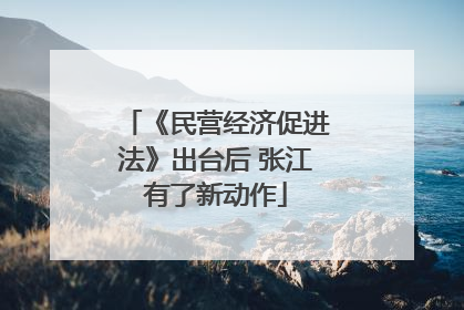 《民营经济促进法》出台后 张江有了新动作
