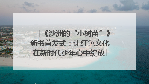 《沙洲的“小树苗”》新书首发式：让红色文化在新时代少年心中绽放