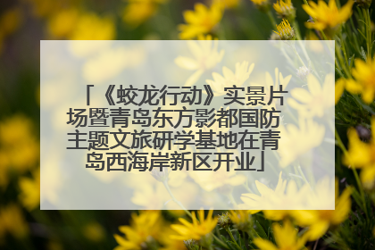 《蛟龙行动》实景片场暨青岛东方影都国防主题文旅研学基地在青岛西海岸新区开业