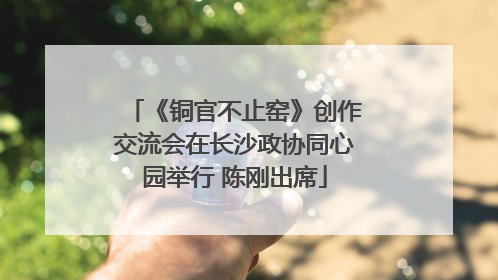 《铜官不止窑》创作交流会在长沙政协同心园举行 陈刚出席