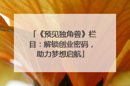《预见独角兽》栏目：解锁创业密码，助力梦想启航
