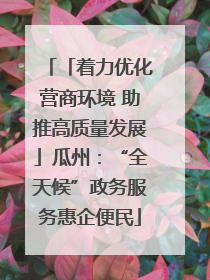 「着力优化营商环境 助推高质量发展」瓜州：“全天候”政务服务惠企便民