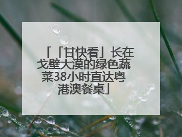 「甘快看」长在戈壁大漠的绿色蔬菜38小时直达粤港澳餐桌