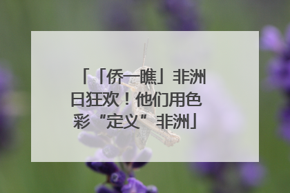 「侨一瞧」非洲日狂欢！他们用色彩“定义”非洲