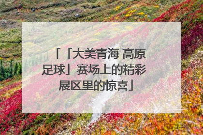 「大美青海 高原足球」赛场上的精彩 展区里的惊喜