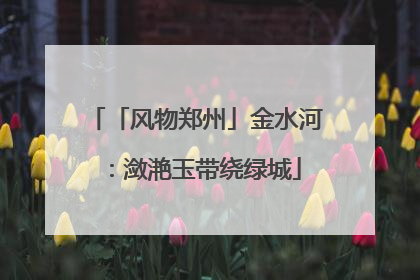 「风物郑州」金水河：潋滟玉带绕绿城