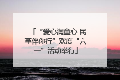 “爱心润童心 民革伴你行”欢度“六一”活动举行