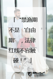 “禁渔期不是‘自由期’，法律红线不容触碰！”