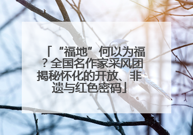 “福地”何以为福？全国名作家采风团揭秘怀化的开放、非遗与红色密码