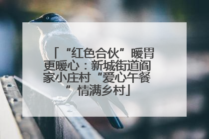 “红色合伙”暖胃更暖心：新城街道阎家小庄村“爱心午餐”情满乡村