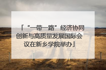 “一带一路”经济协同创新与高质量发展国际会议在新乡学院举办