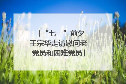 “七一”前夕 王宗华走访慰问老党员和困难党员
