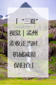 “三夏”视觉｜孟州麦收正当时 机械减损保归仓
