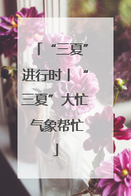 “三夏”进行时丨“三夏”大忙 气象帮忙