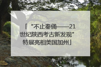 “不止秦俑——21世纪陕西考古新发现”特展亮相美国加州