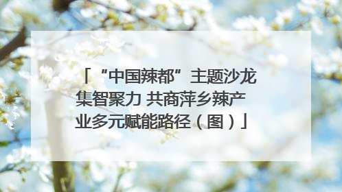 “中国辣都”主题沙龙集智聚力 共商萍乡辣产业多元赋能路径（图）