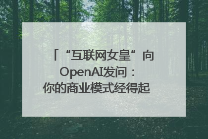 “互联网女皇”向OpenAI发问：你的商业模式经得起价格战考验么？