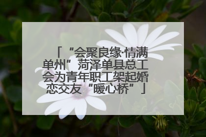 “会聚良缘·情满单州”菏泽单县总工会为青年职工架起婚恋交友“暖心桥”