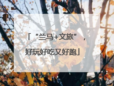 “兰马+文旅”，好玩好吃又好跑