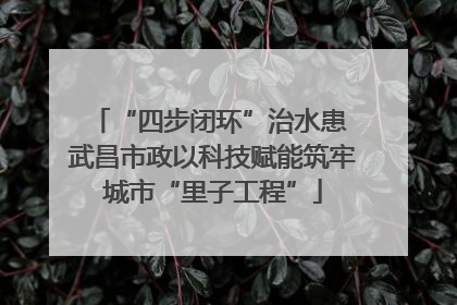 “四步闭环”治水患 武昌市政以科技赋能筑牢城市“里子工程”