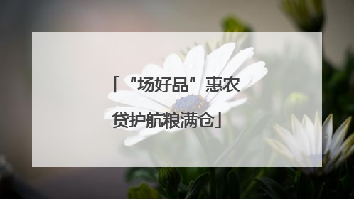 “场好品”惠农贷护航粮满仓
