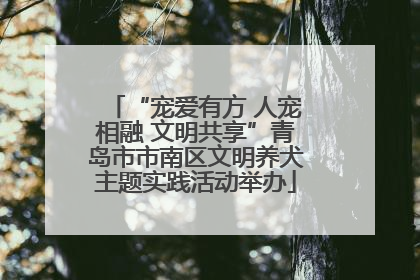 “宠爱有方 人宠相融 文明共享”青岛市市南区文明养犬主题实践活动举办