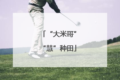 “大米哥”“慧”种田