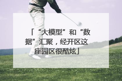 “大模型”和“数据”汇聚，经开区这座园区很酷炫
