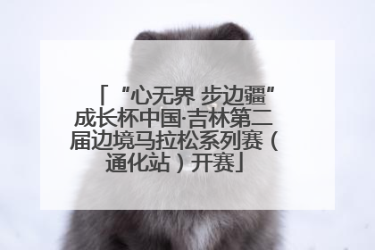 “心无界 步边疆”成长杯中国·吉林第二届边境马拉松系列赛（通化站）开赛