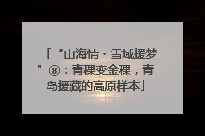 “山海情・雪域援梦”⑧：青稞变金稞，青岛援藏的高原样本