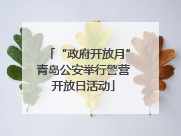 “政府开放月”青岛公安举行警营开放日活动