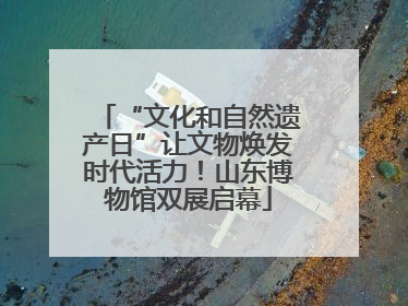 “文化和自然遗产日”让文物焕发时代活力！山东博物馆双展启幕