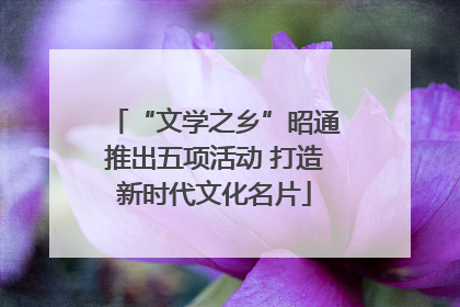 “文学之乡”昭通推出五项活动 打造新时代文化名片