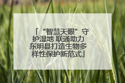 “智慧天眼”守护湿地 联通助力东明县打造生物多样性保护新范式