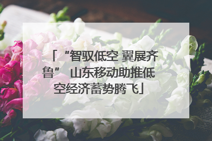 “智驭低空 翼展齐鲁” 山东移动助推低空经济蓄势腾飞