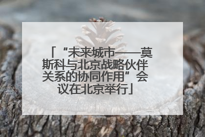 “未来城市——莫斯科与北京战略伙伴关系的协同作用”会议在北京举行