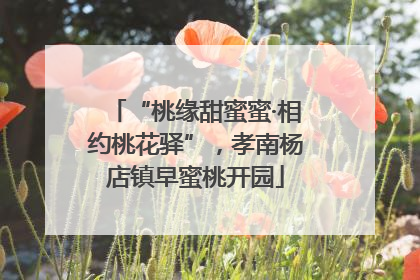 “桃缘甜蜜蜜·相约桃花驿”，孝南杨店镇早蜜桃开园