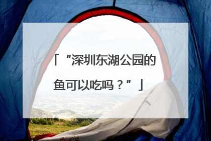 “深圳东湖公园的鱼可以吃吗？”