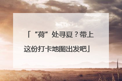 “荷”处寻夏？带上这份打卡地图出发吧