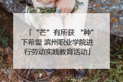 “芒”有所获 “种”下希望 滨州职业学院进行劳动实践教育活动