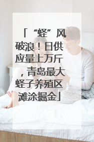 “蛏”风破浪！日供应量上万斤，青岛最大蛏子养殖区滩涂掘金