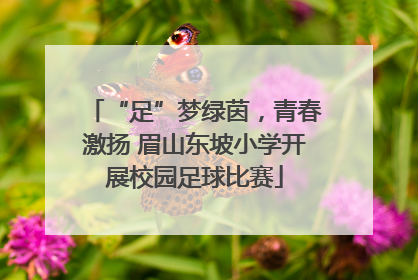 “足”梦绿茵，青春激扬 眉山东坡小学开展校园足球比赛