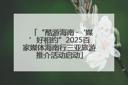 “酷游海南 ·‘媒’好相约”2025百家媒体海南行三亚旅游推介活动启动