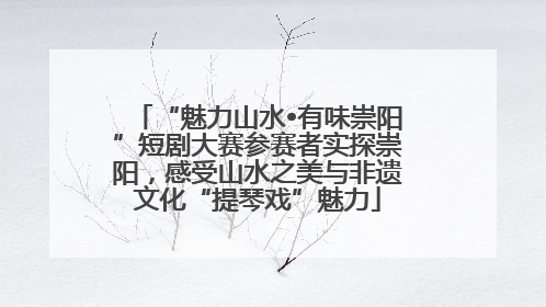 “魅力山水•有味崇阳”短剧大赛参赛者实探崇阳，感受山水之美与非遗文化“提琴戏”魅力