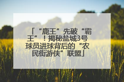 “鹿王”先破“霸王”！揭秘盐城3号球员进球背后的“农民街游侠”联盟