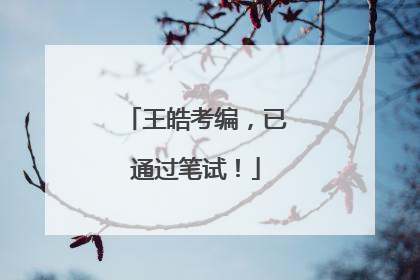 王皓考编，已通过笔试！