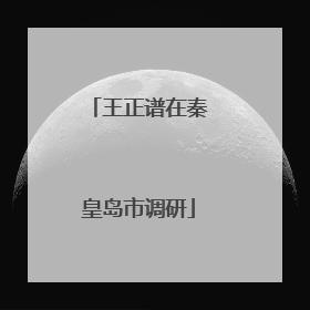 王正谱在秦皇岛市调研