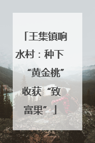 王集镇响水村：种下“黄金桃” 收获“致富果”