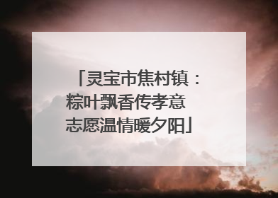 灵宝市焦村镇：粽叶飘香传孝意 志愿温情暖夕阳