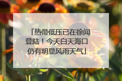 热带低压已在徐闻登陆！今天白天海口仍有明显风雨天气
